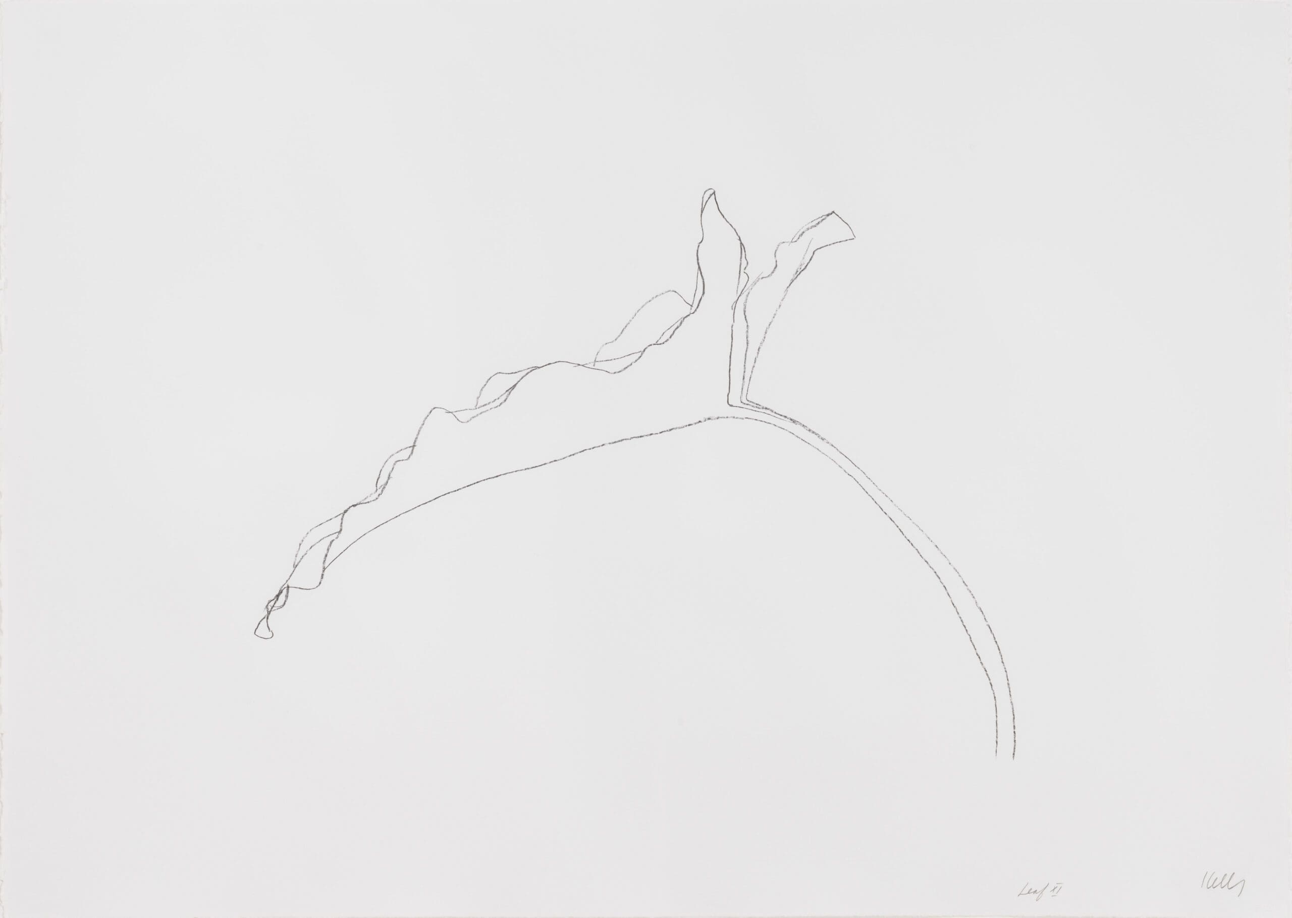 Leaf XI by Ellsworth Kelly