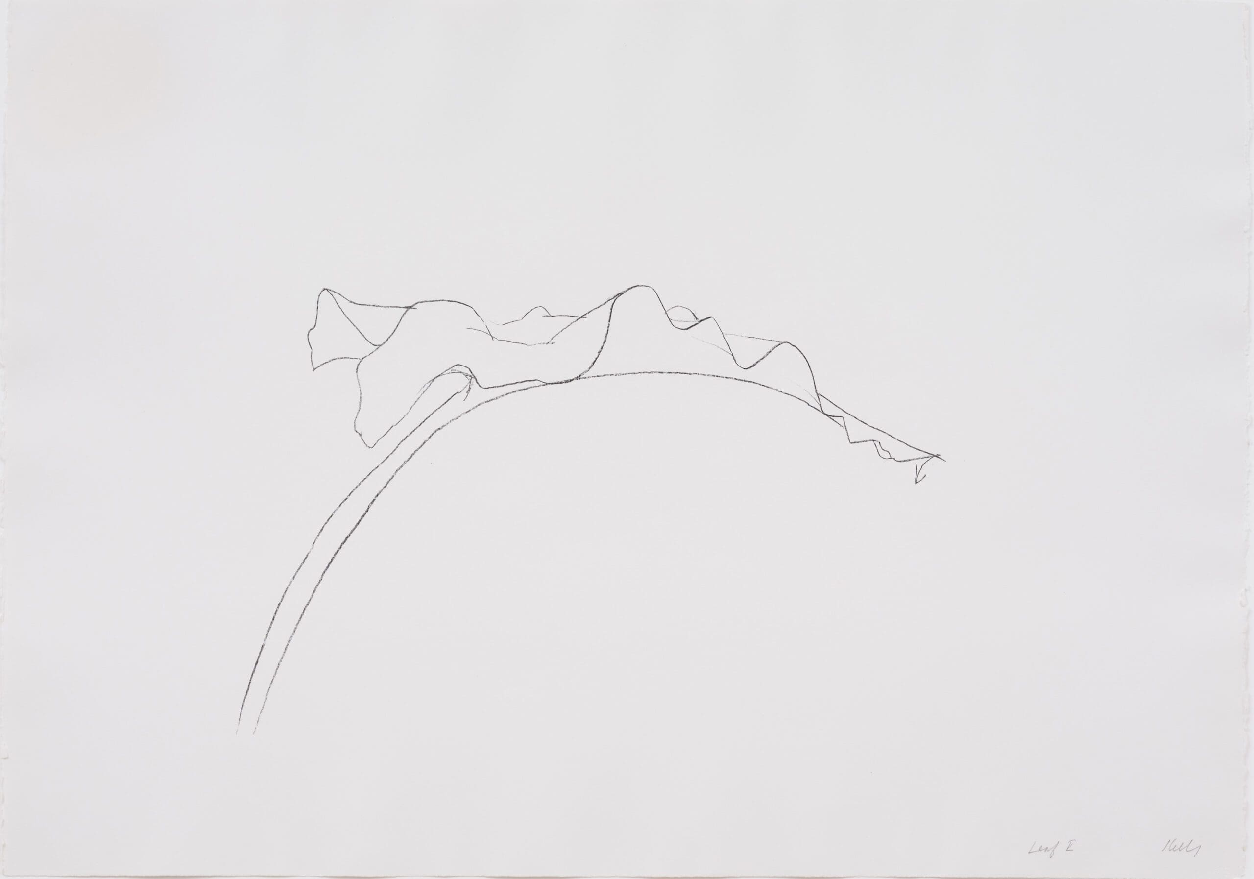 Leaf  V by Ellsworth Kelly