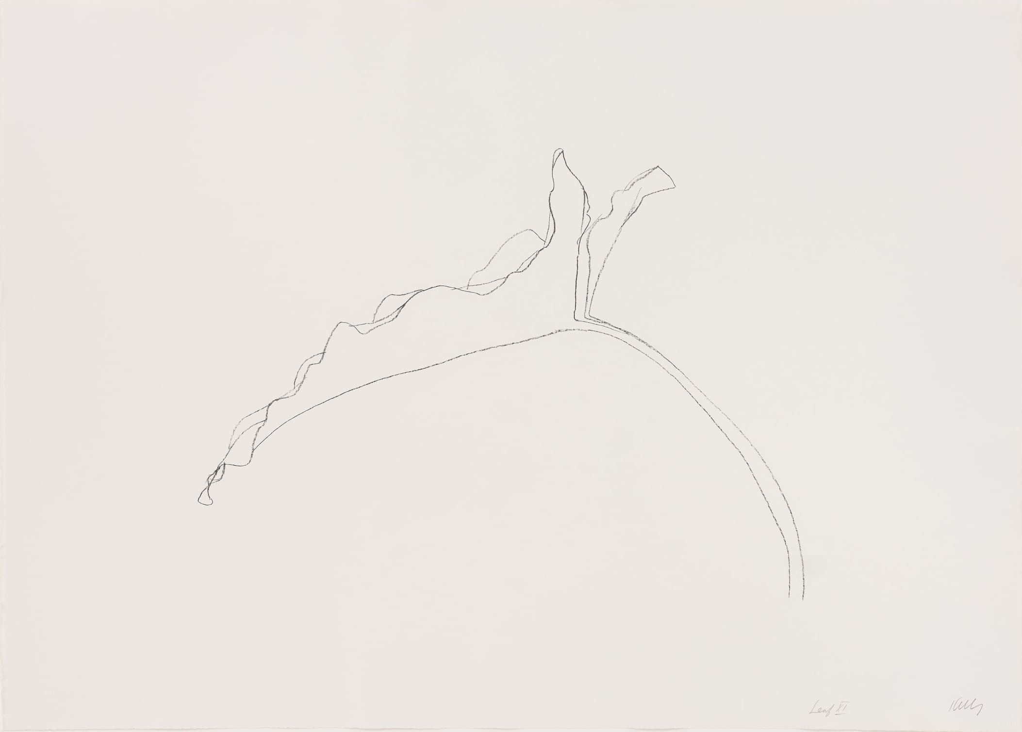 Leaf XI print - Ellsworth Kelly
