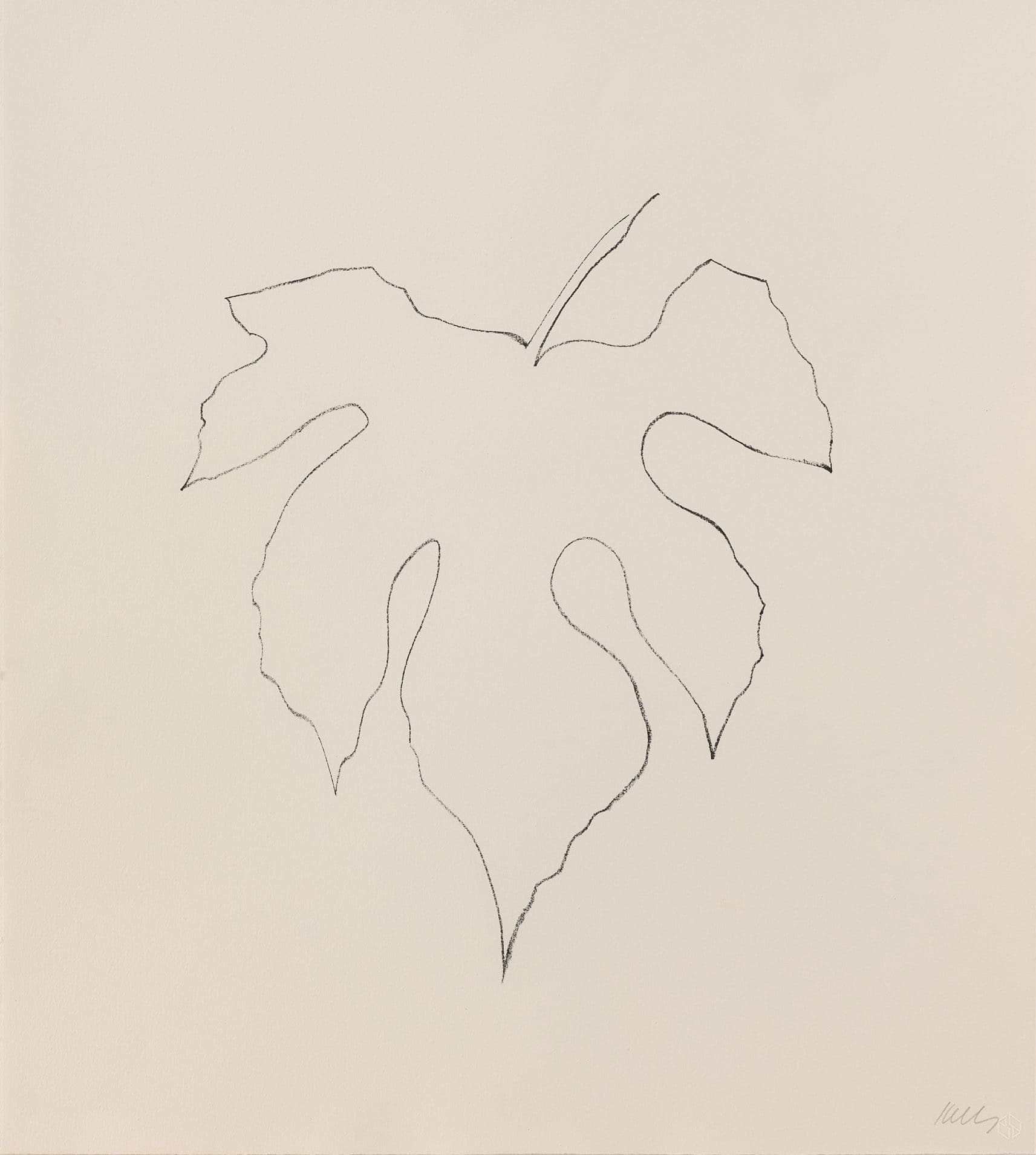 Wild Grape Leaf by Ellsworth Kelly
