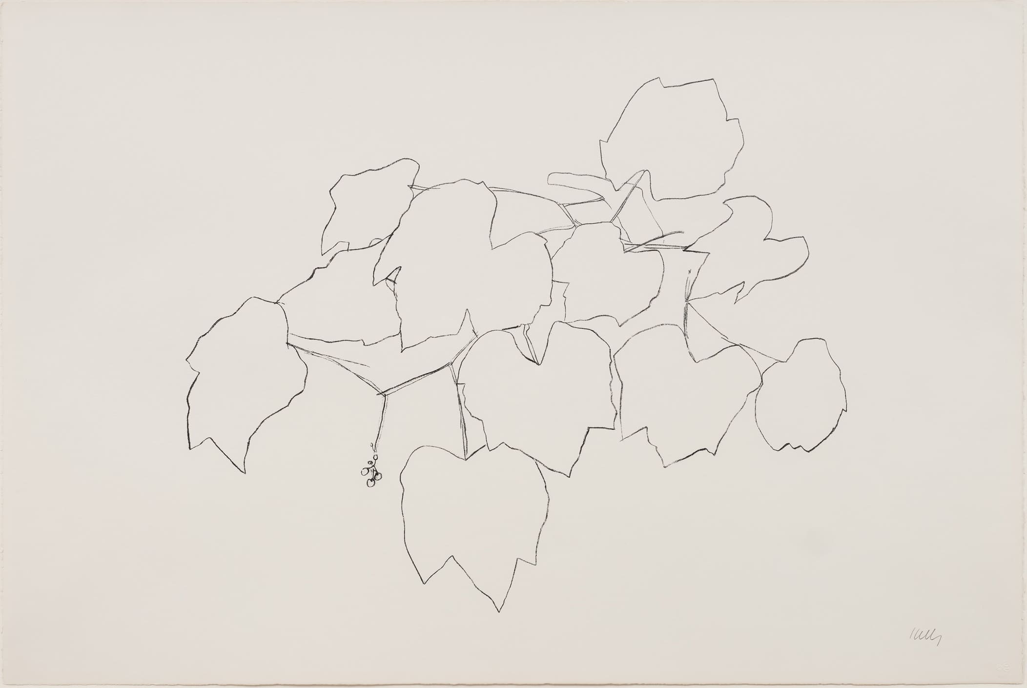 Grape Leaves I by Ellsworth Kelly