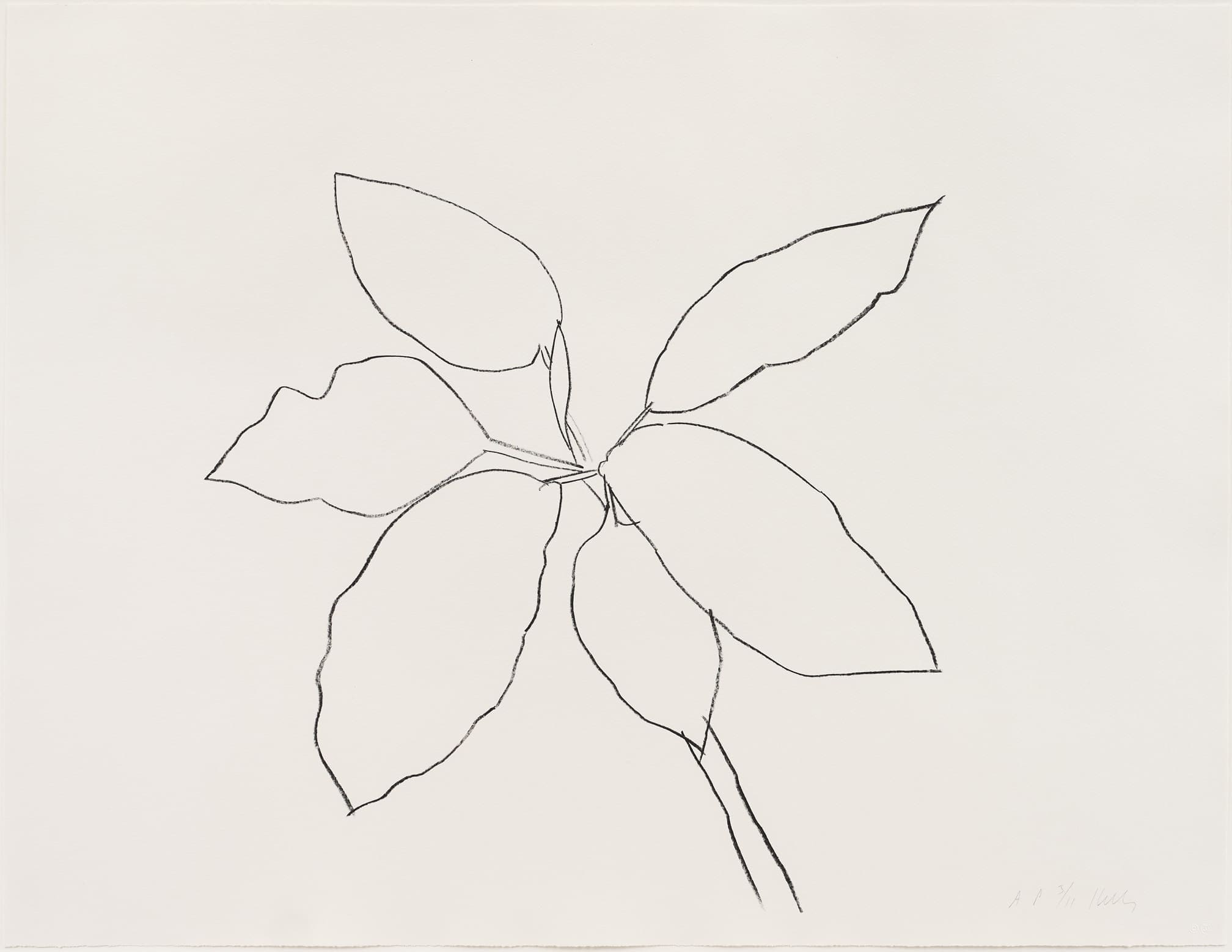 Saint Martin Tropical Plant by Ellsworth Kelly