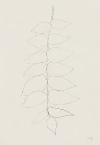 Ellsworth Kelly Ailanthus Leaves II (Vernis du Japon II) print