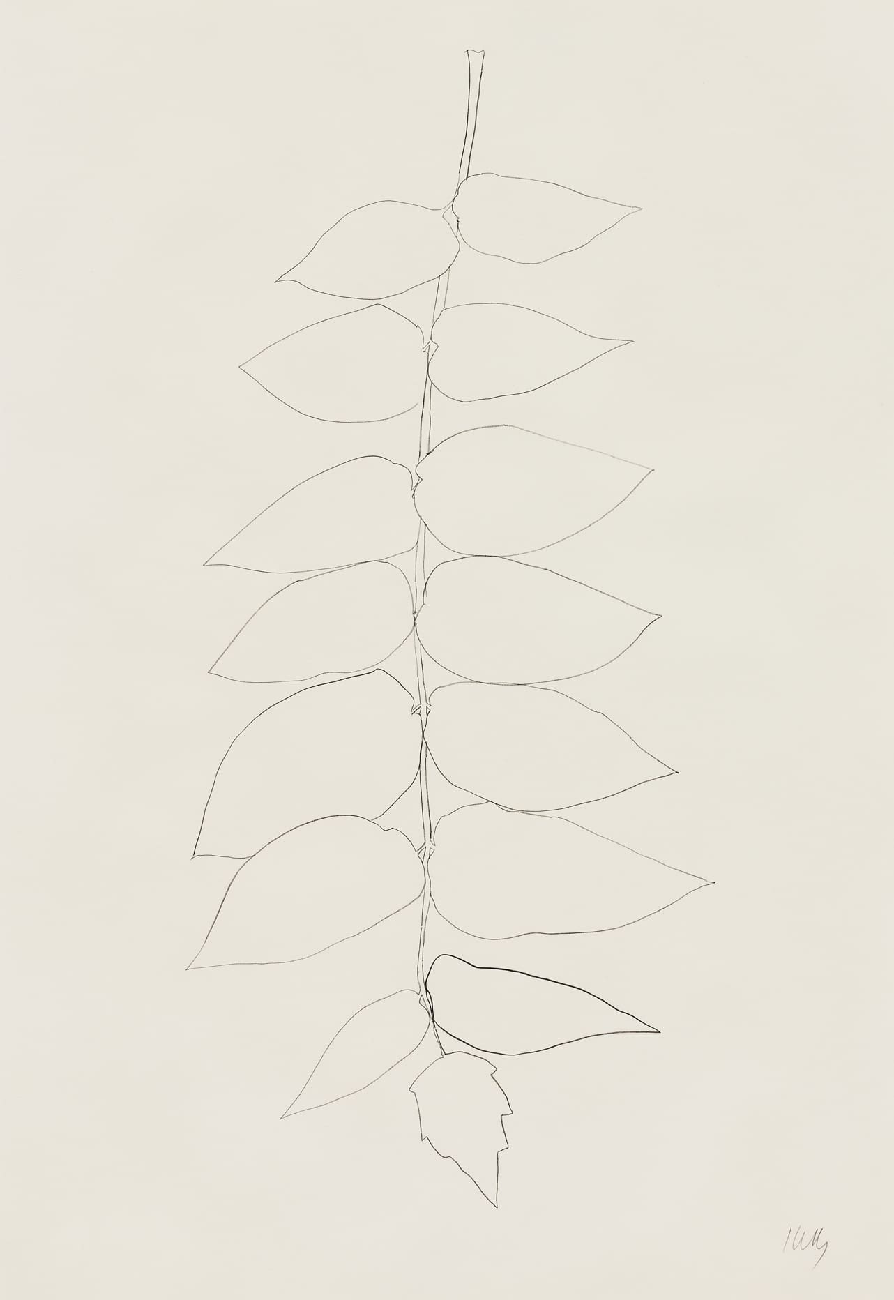 Ailanthus Leaves II (Vernis du Japon II) print - Ellsworth Kelly