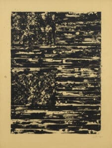 Jasper Johns Two Flags print