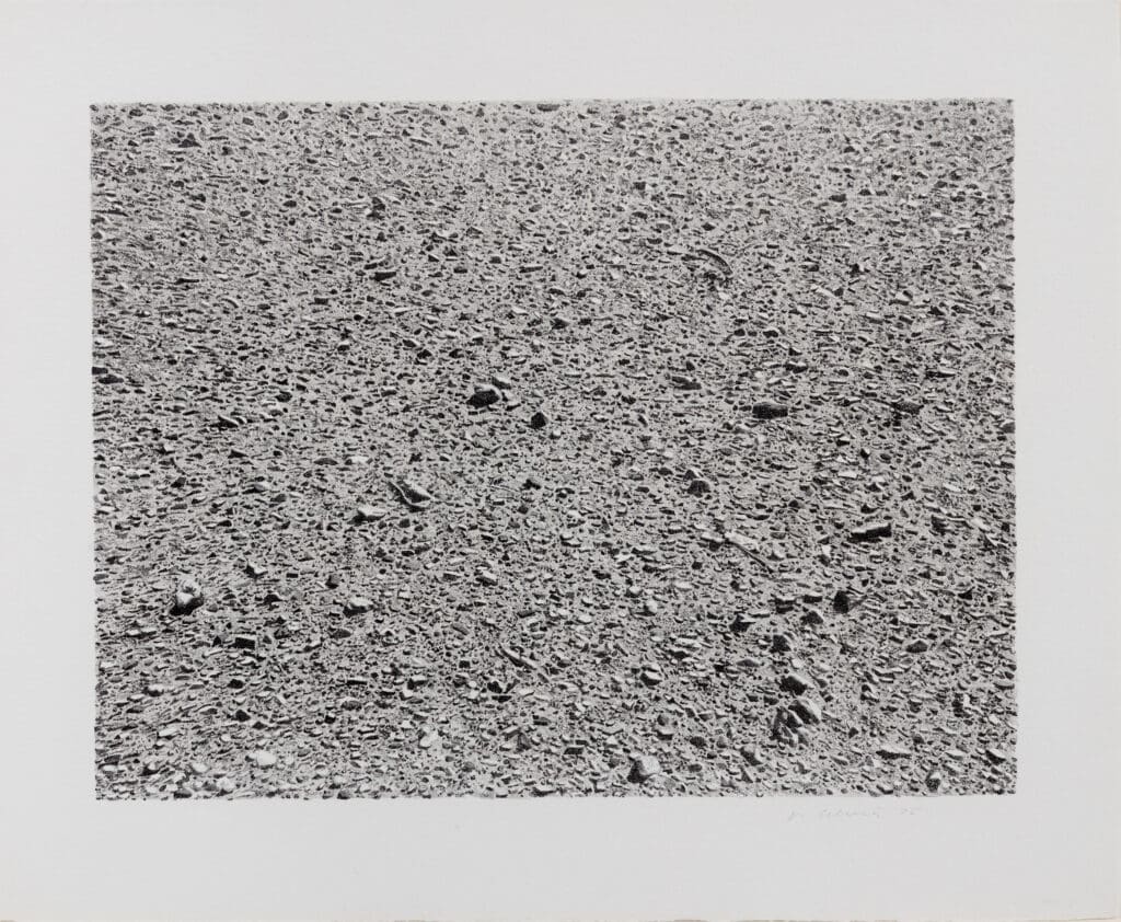 Vija Celmins Untitled (Desert) print