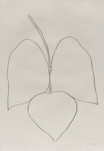 Ellsworth Kelly String Bean Leaves I print