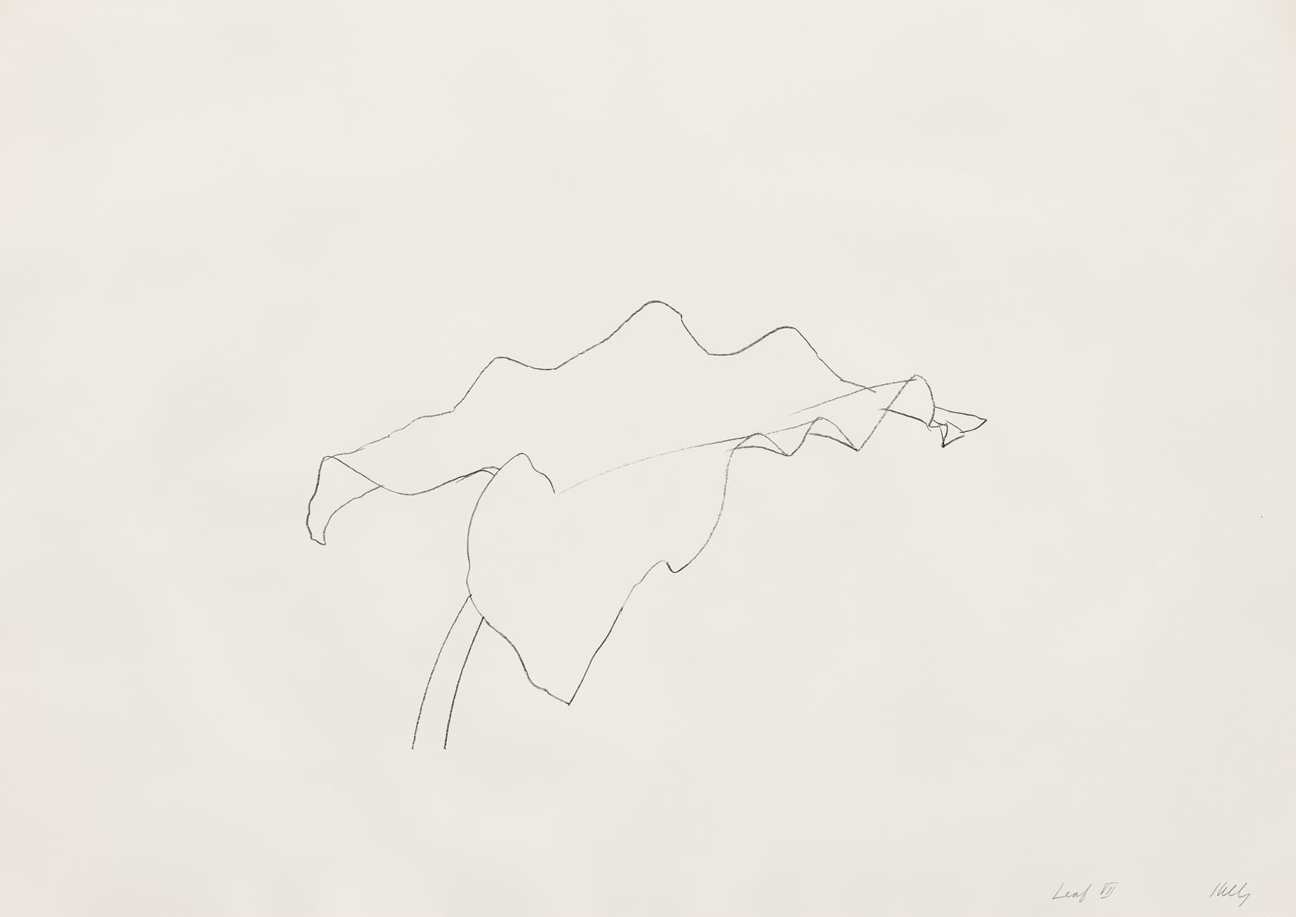 Leaf VII by Ellsworth Kelly