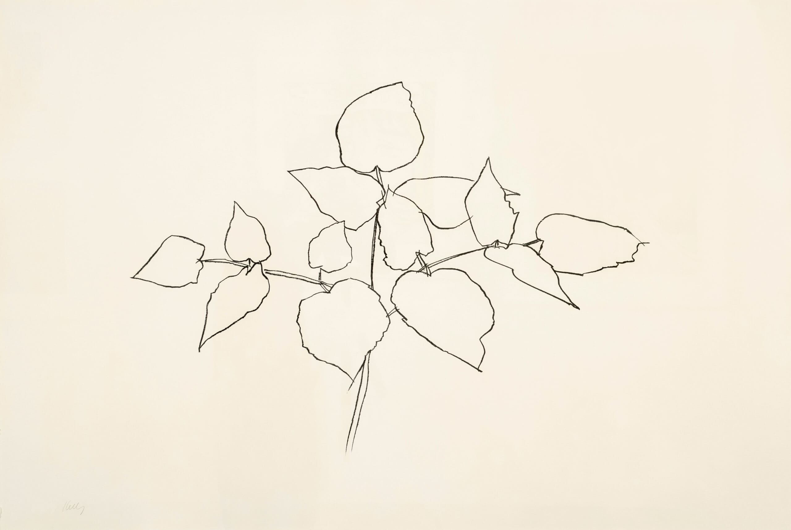 Woodland Plant by Ellsworth Kelly