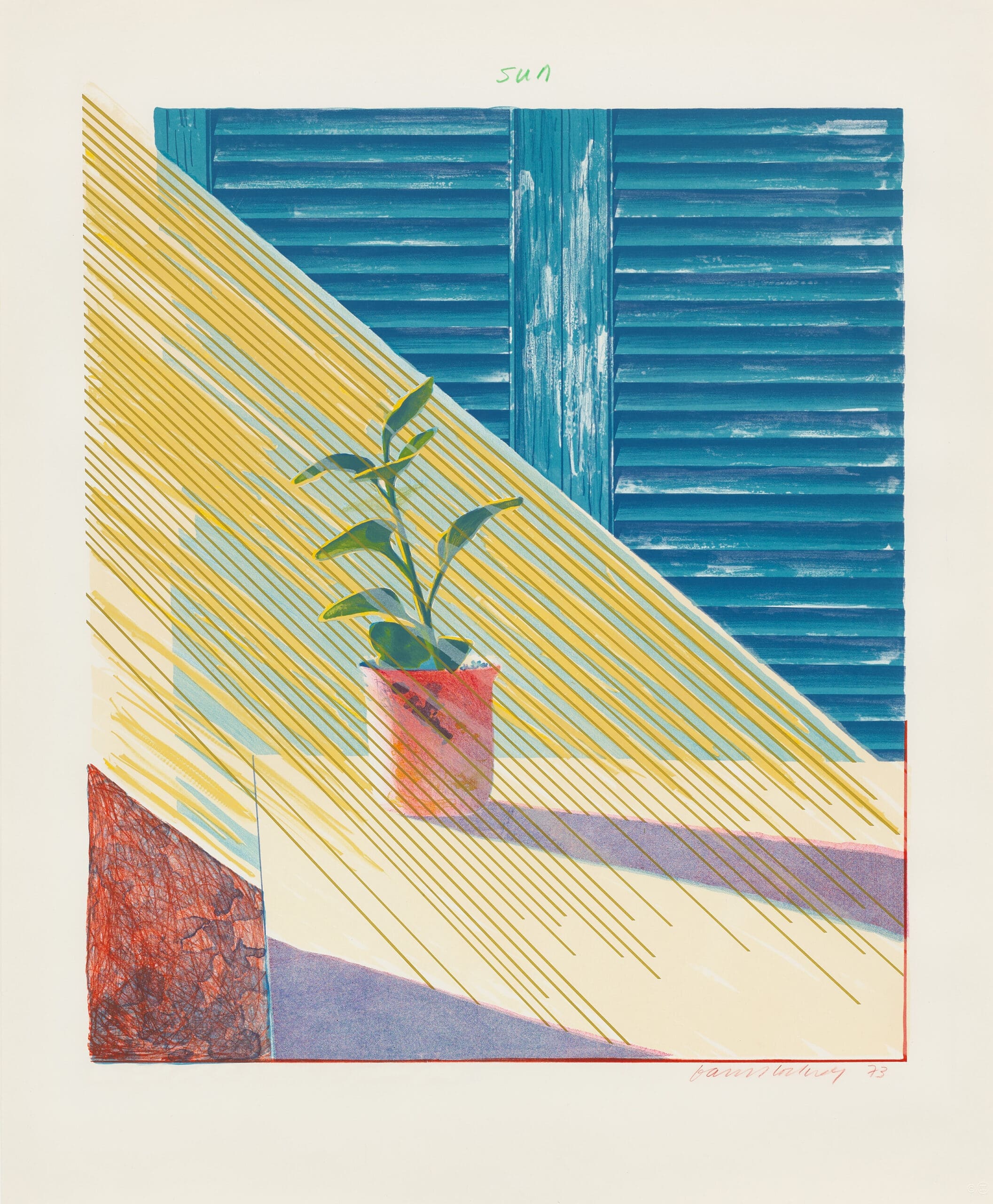 Sun print - David Hockney