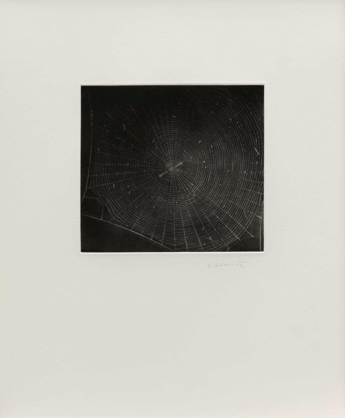 Untitled (Web 2) print - Vija Celmins