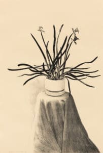 David Hockney Potted Daffodils print