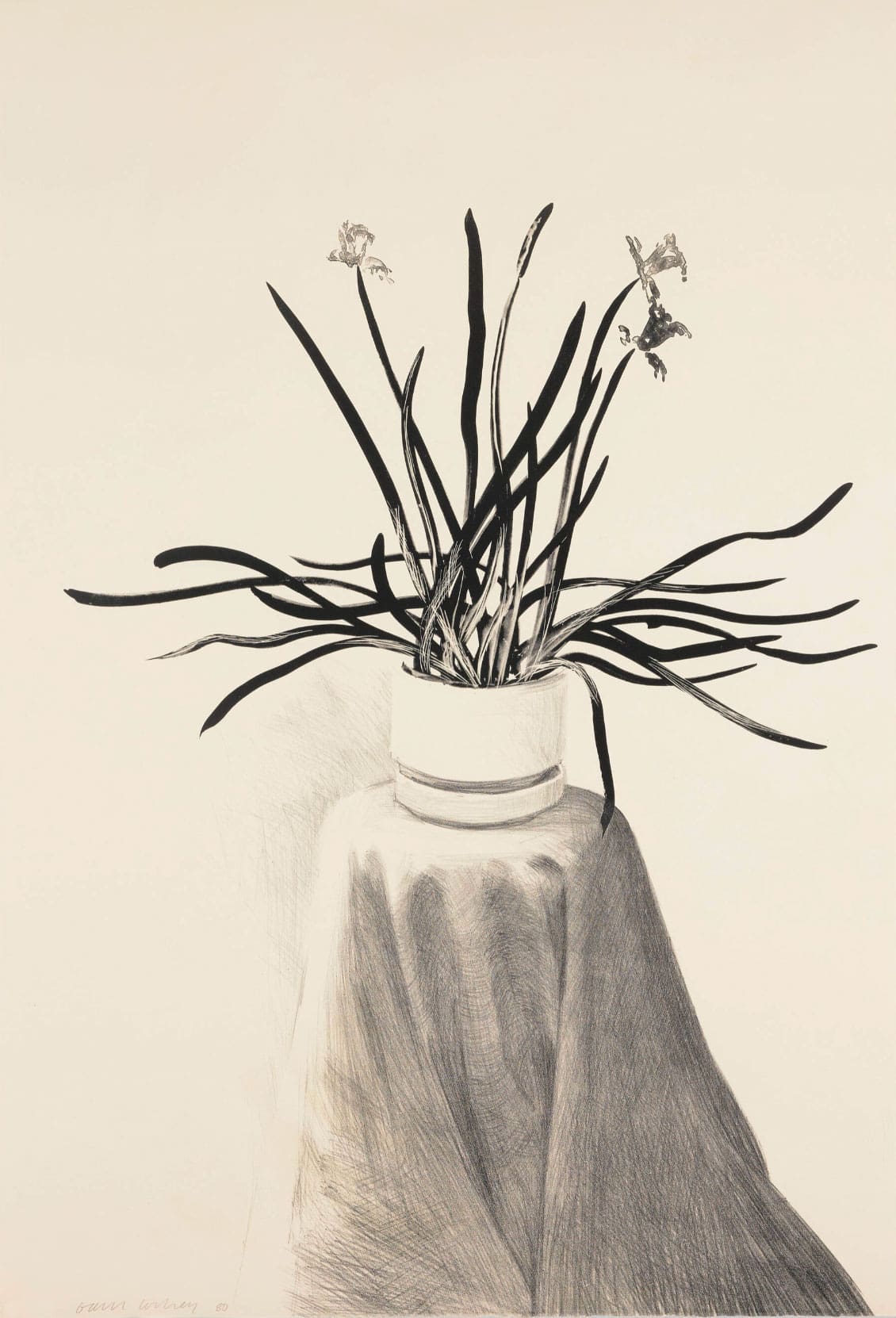 Potted Daffodils print - David Hockney