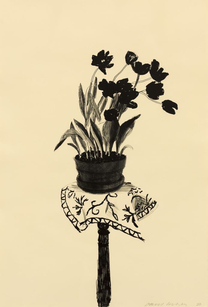 David Hockney Black Tulips print