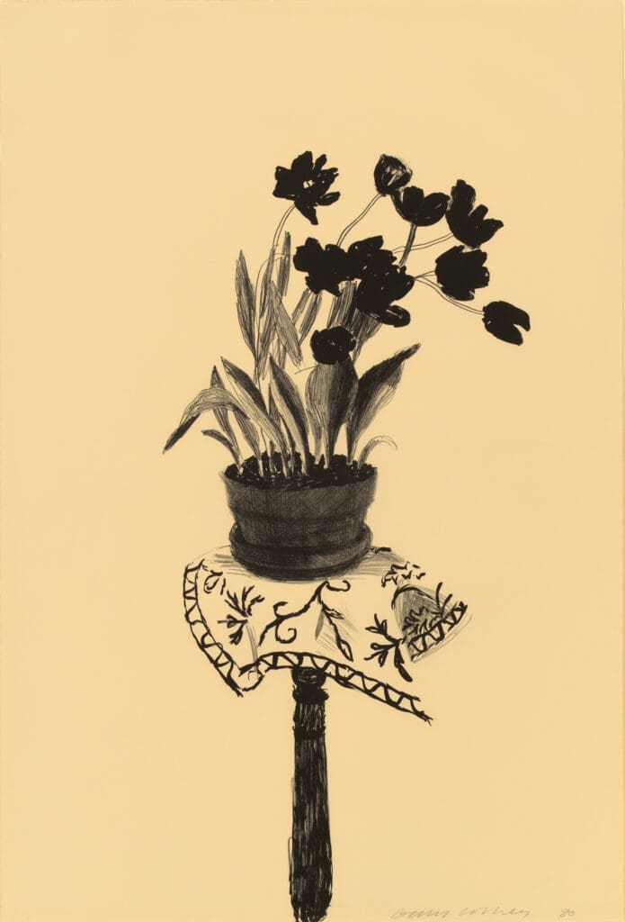 David Hockney Black Tulips print