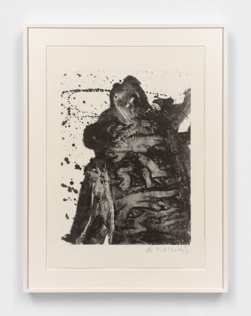 Willem de Kooning Big print