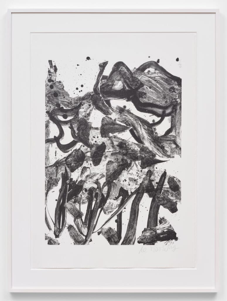 Willem de Kooning The Marshes print
