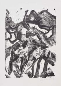 Willem de Kooning The Marshes print